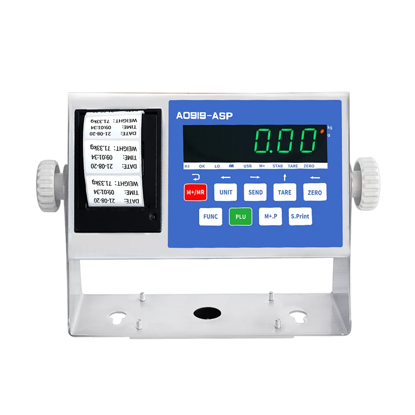 Electronic Weighing Printing Instrument